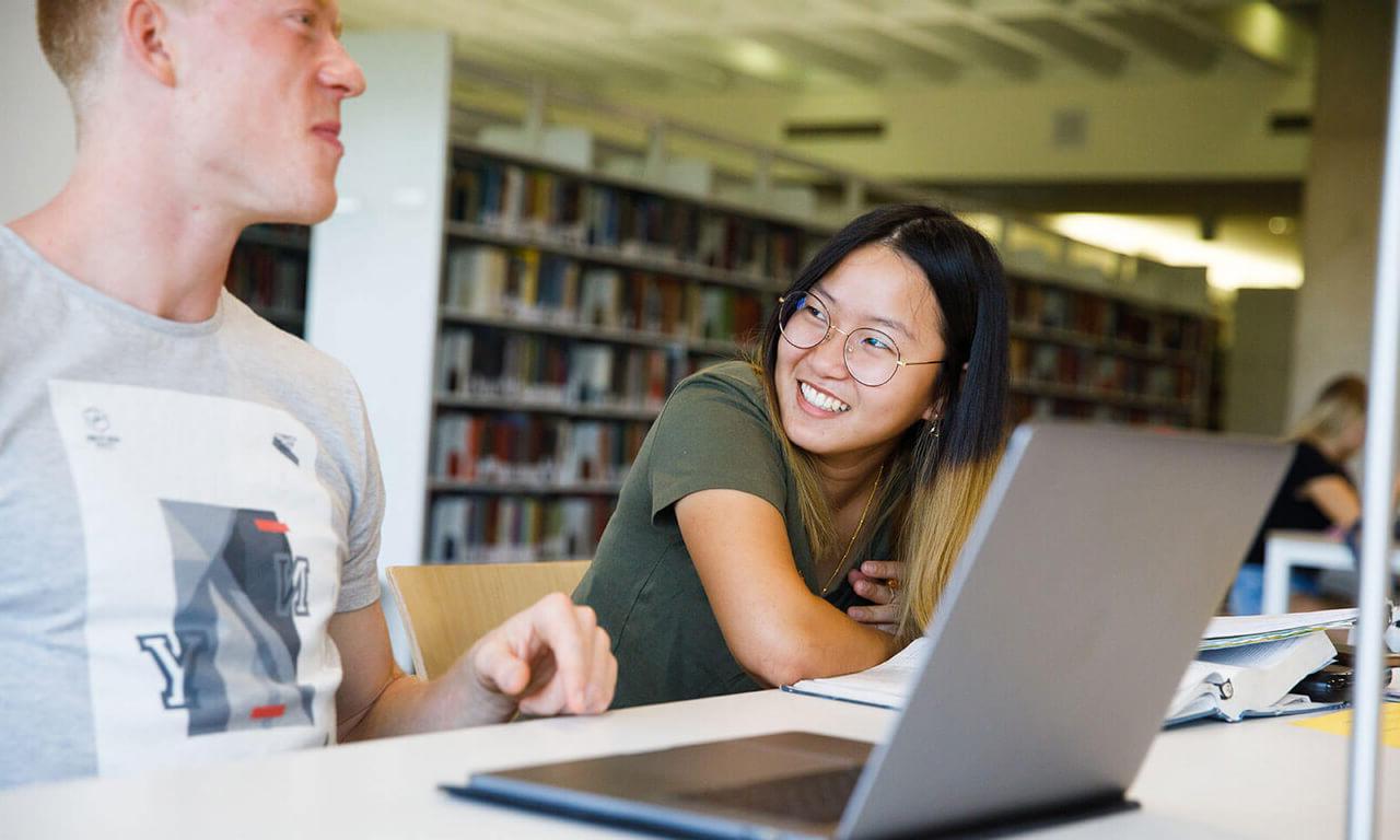 Students working in the library